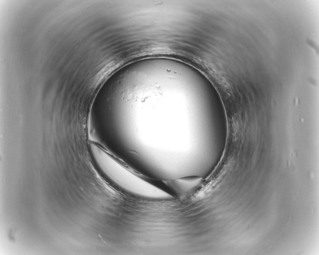 X0000093721225200710301018