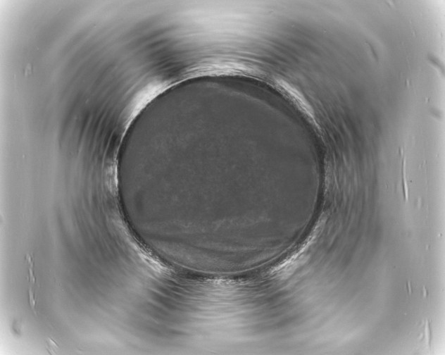 X0000093721226200710301018