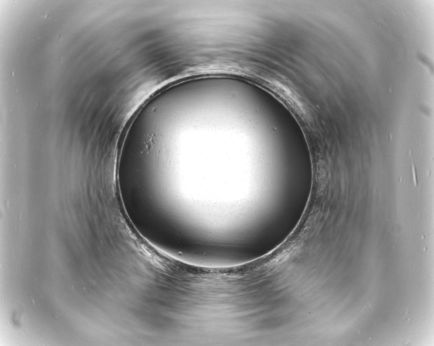 X0000093721228200710301018
