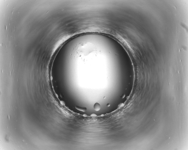 X0000093721230200710301018