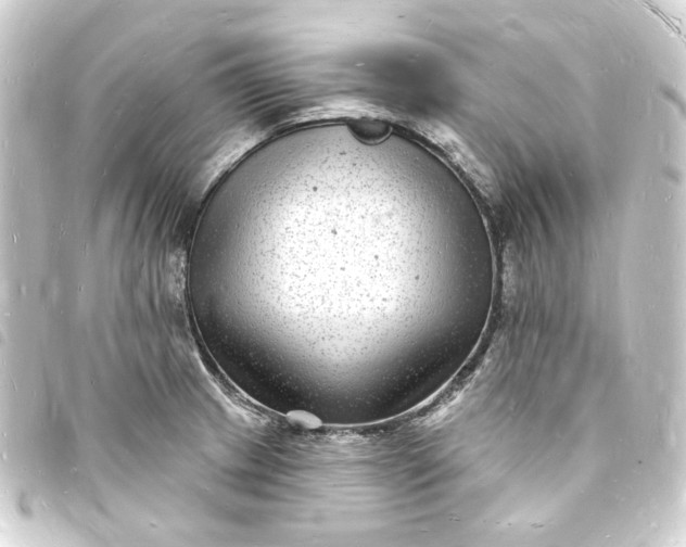 X0000093721233200710301018