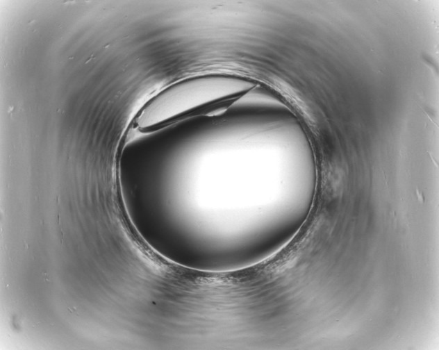 X0000093721234200710301018