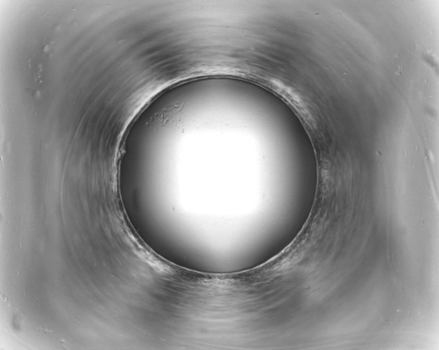 X0000093721236200710301018