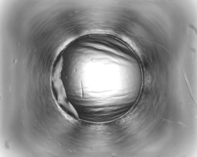 X0000093721237200710301018