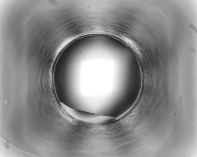 X0000093721238200710301018