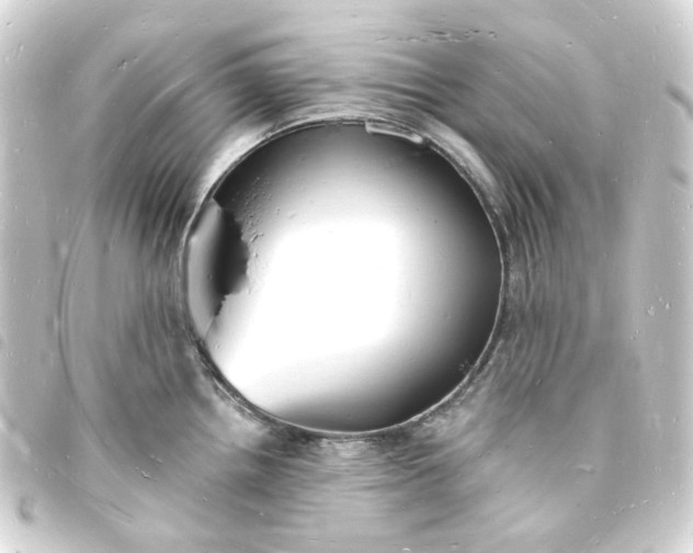 X0000093721242200710301018