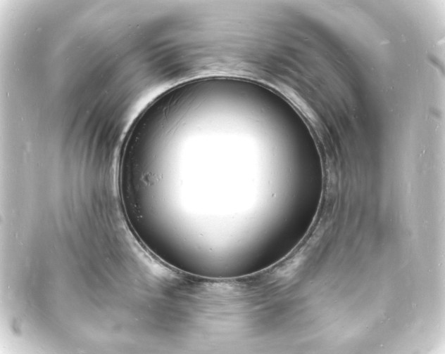 X0000093721246200710301018