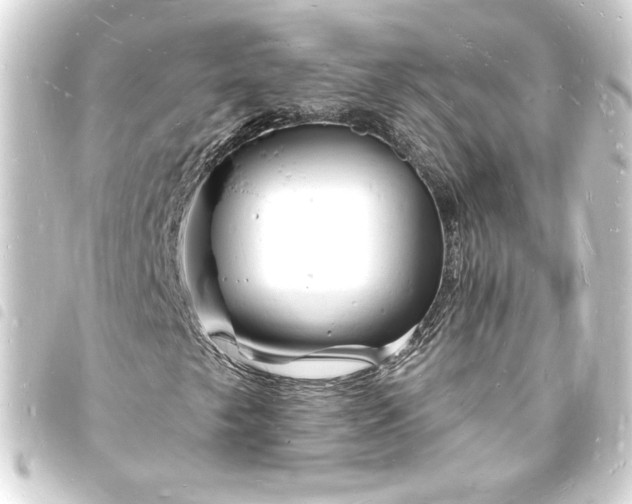 X0000093721249200710301017