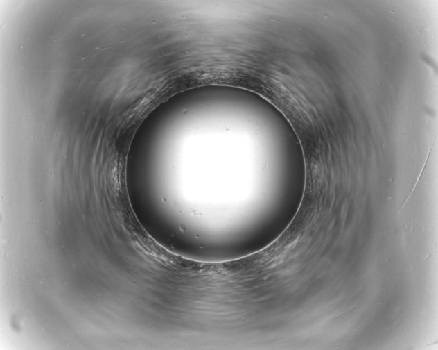 X0000093721250200710301017