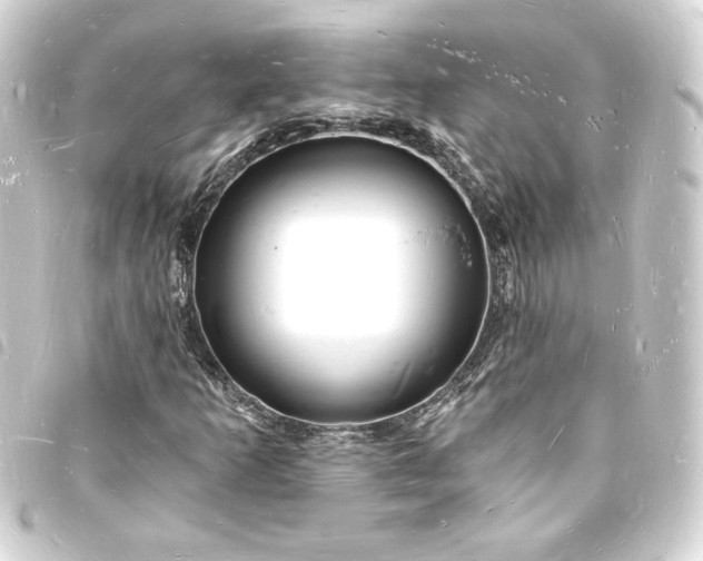 X0000093721253200710301017