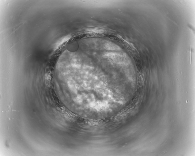 X0000093721254200710301017