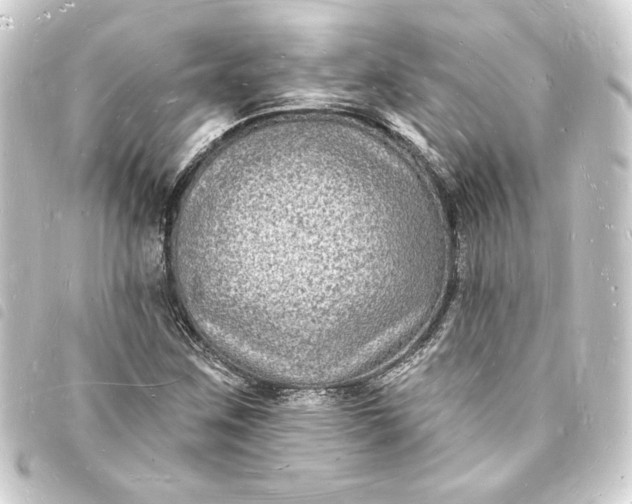 X0000093721259200710301017