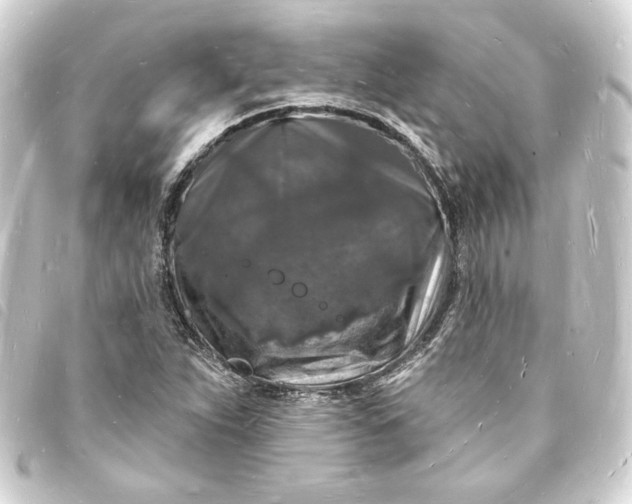 X0000093721263200710301017