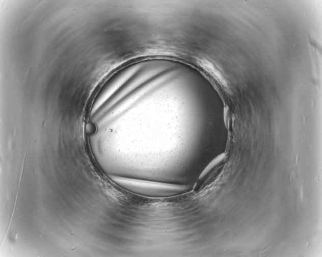 X0000093721268200710301017