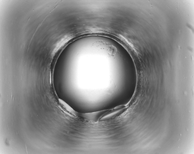 X0000093721269200710301017