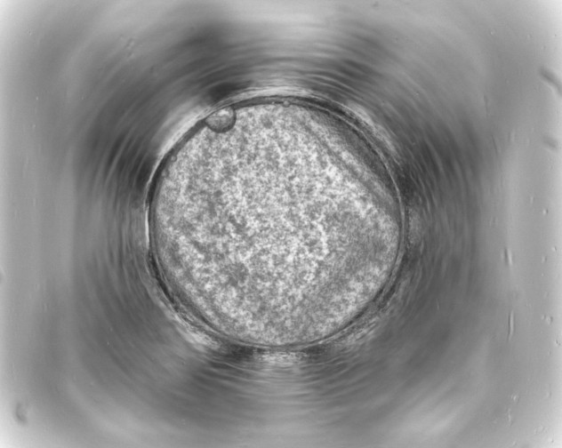 X0000093721274200710301017