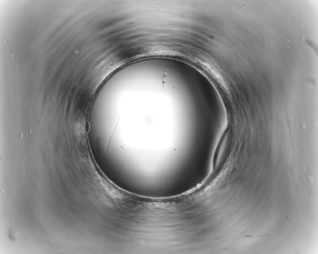 X0000093721281200710301017