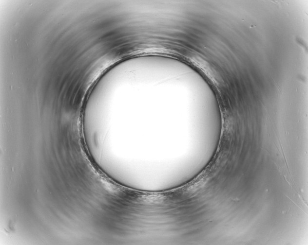 X0000093721282200710301017