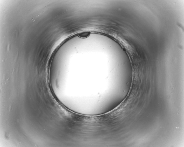 X0000093721286200710301017