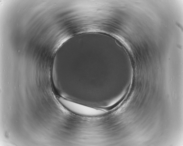X0000093721289200710301017
