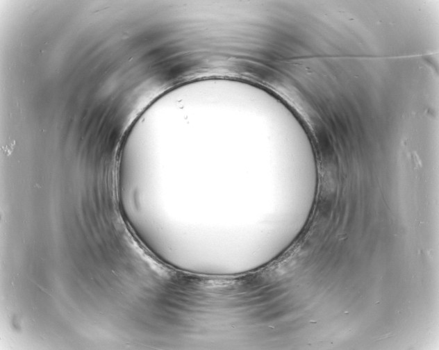 X0000093721290200710301017
