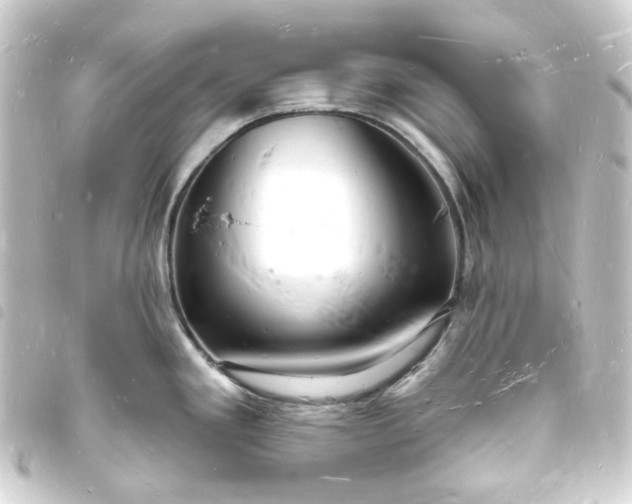 X0000093721293200710301017
