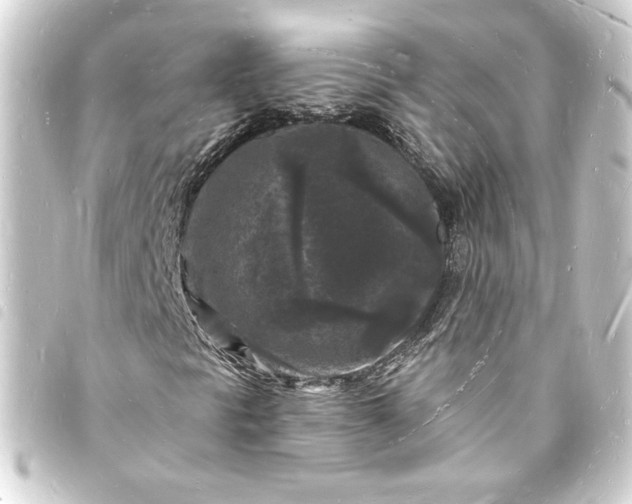 X0000093721297200710301016