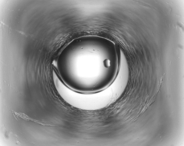 X0000093721298200710301016