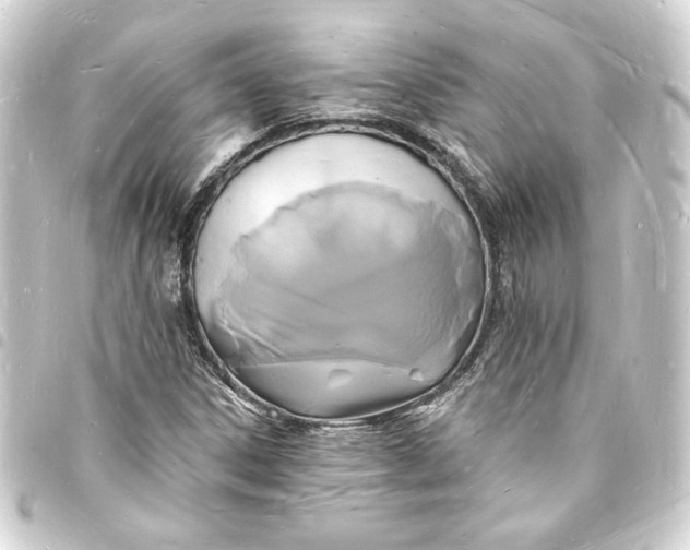 X0000093721306200710301016
