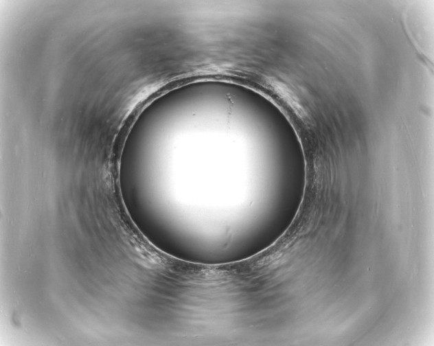 X0000093721308200710301016