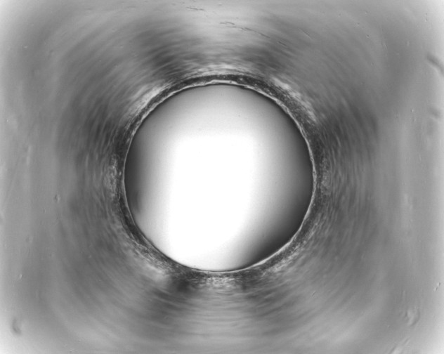 X0000093721313200710301016