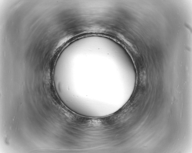X0000093721315200710301016