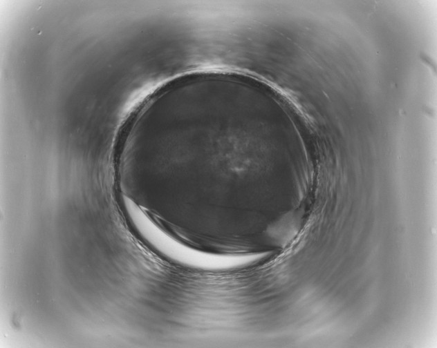 X0000093721319200710301016
