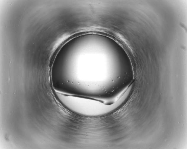 X0000093721320200710301016
