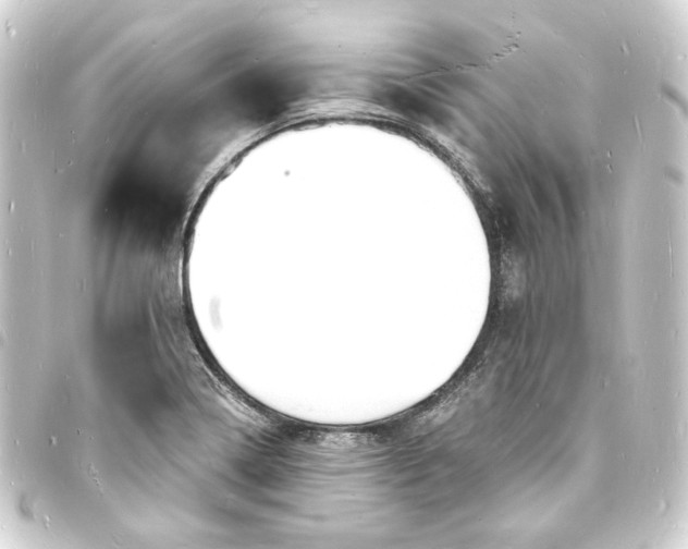 X0000093721322200710301016