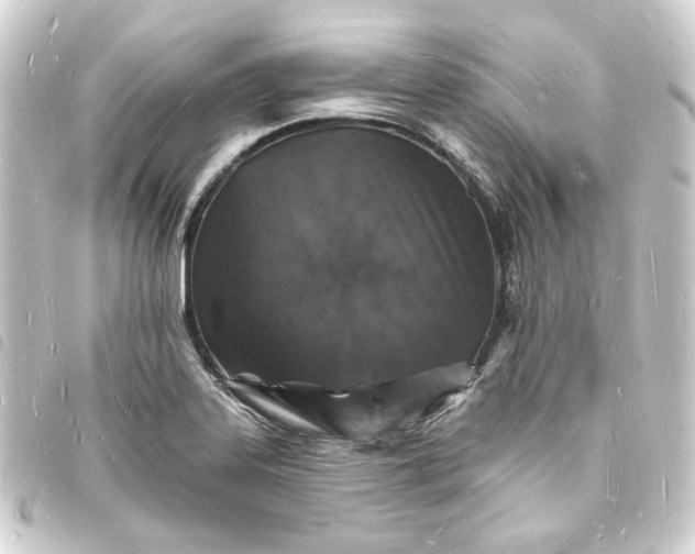 X0000093721323200710301016