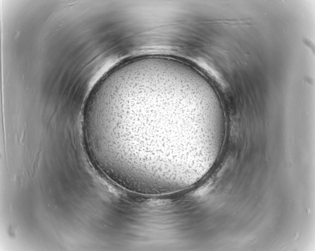 X0000093721325200710301016