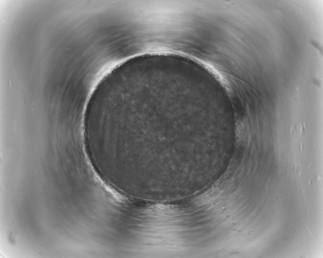 X0000093721327200710301016