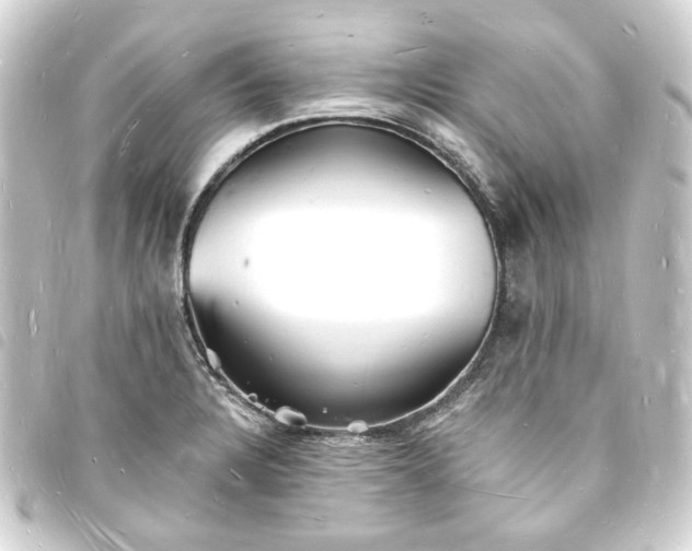 X0000093721328200710301016