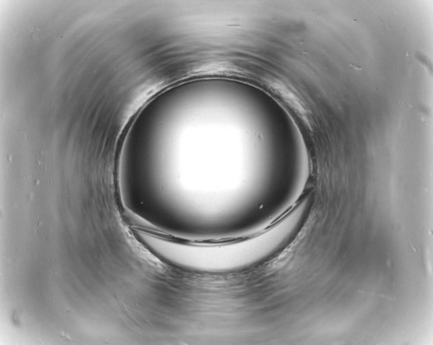X0000093721330200710301017