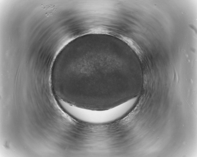 X0000093721331200710301017