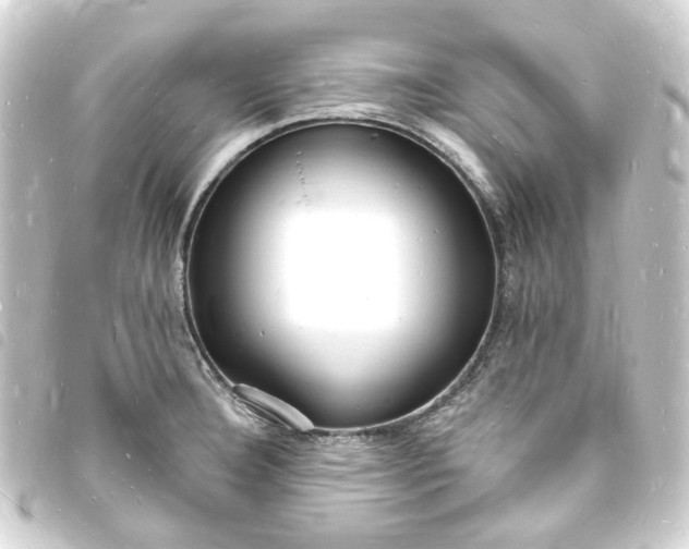 X0000093721332200710301017