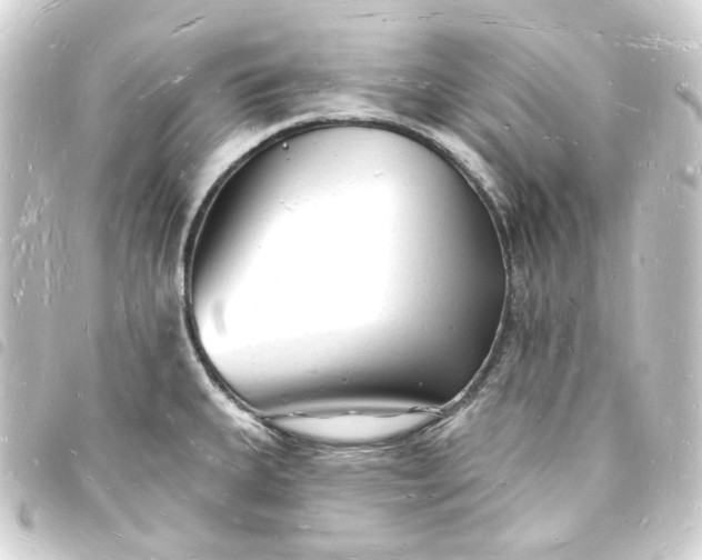 X0000093721335200710301017