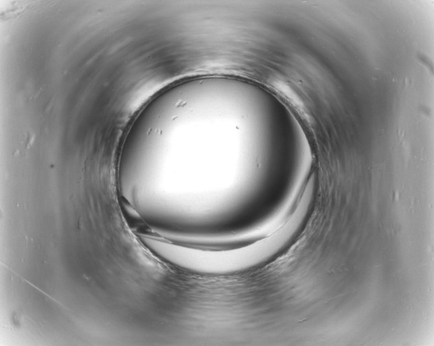 X0000093721336200710301017