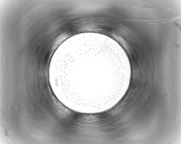 X0000093721338200710301017
