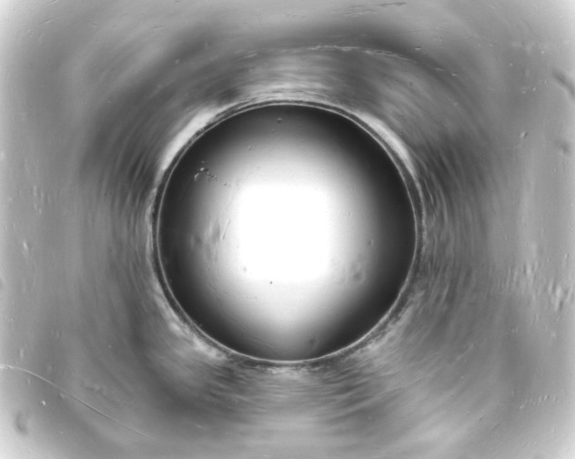 X0000093721341200710301017
