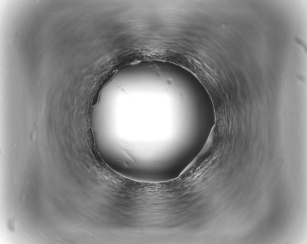 X0000093721345200710301016