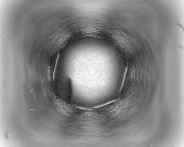 X0000093721346200710301016