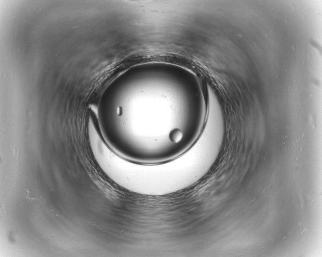 X0000093721348200710301016