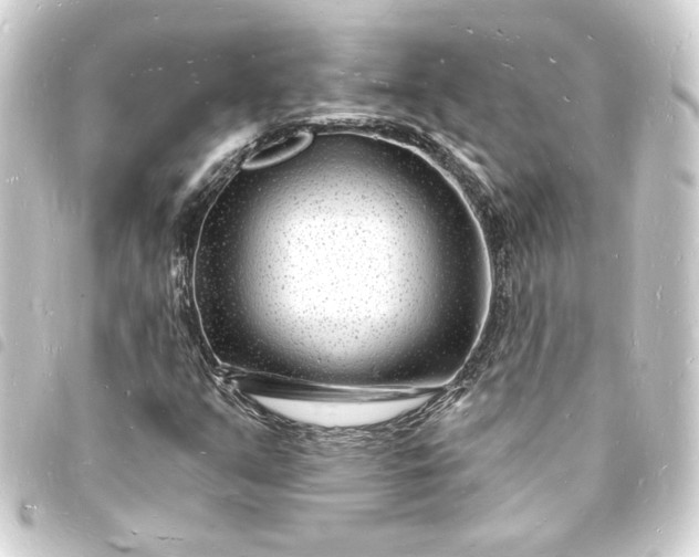 X0000093721351200710301016